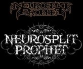 Neurosplit Prophet logo