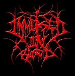 Immersed in Blood logo