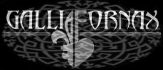 Gallia Fornax logo