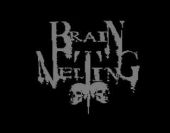 Brain Melting logo
