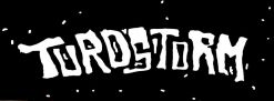 Turdstorm logo