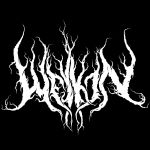 Welkin logo