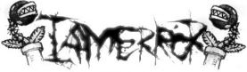 IAMERROR logo