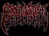 Cremation of Burial logo