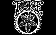 Toke logo