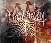 Mycorrhizal logo