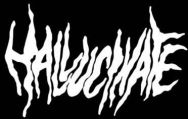 Hallucinate logo