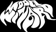 Moon Wizard logo