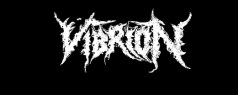 Vibrion logo