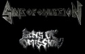 Sins of Omission logo