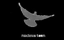Nucleus Torn logo
