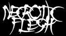Necrotic Flesh logo
