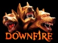 Downfire logo