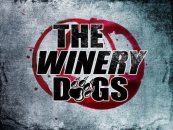 The Winery Dogs logo
