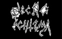 Necro Schizma logo