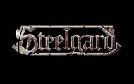 Steelgard logo