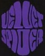 Velvet Spider logo
