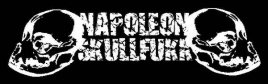 Napoleon Skullfukk logo
