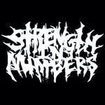 Strength In Numbers logo