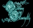 Hidden in Eternity logo