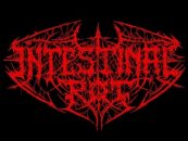 Intestinal Rot logo