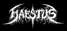 Maestus logo