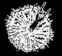 Destructive Explosion of Anal Garland logo
