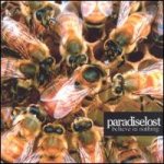 Paradise Lost - Believe in Nothing cover art