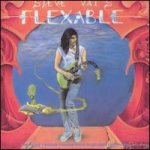 Steve Vai - Flexable cover art