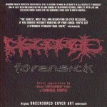 Disgorge - Forensick cover art