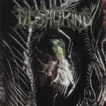Fleshgrind - The Seeds of Abysmal Torment