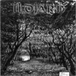 Ildjarn - Forest Poetry cover art