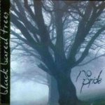 No Pride - Black Bared Trees cover art