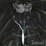 Woods of Infinity - Ljuset cover art
