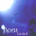 Dorn - Falschheit cover art