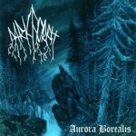 Dark Forest - Aurora Borealis