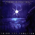 Theory In Practice - Third Eye Function cover art
