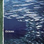 The Ocean - Fluxion cover art