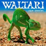Waltari - Rare Species cover art
