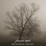 Frozen Mist - Melancholic Willows cover art