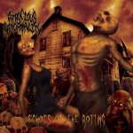 Atrocious Abnormality - Echoes of the Rotting cover art