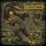 Fleshless - Hate Is Born cover art