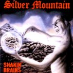 Silver Mountain - Shakin' Brains cover art