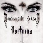 Mandragora Scream - Volturna cover art