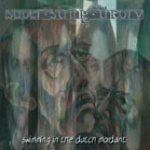 Super String Theory - Swimming in the Dutch Mordant cover art