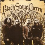 Black Stone Cherry - Black Stone Cherry cover art