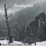 Nachtgeblüt - Frozen Streams of Forgotten Knowledge cover art