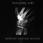 Trancelike Void - Destroying Something Beautiful cover art