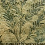 Jim Matheos - First Impressions cover art