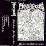 Morphosis - Malicious Malfiguration cover art